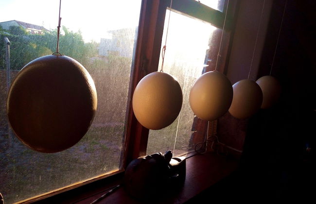 Beachfront Villa Africa Queen Jeffreys - Photo 34