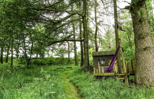 Pant Y Rhedyn - Foto 42