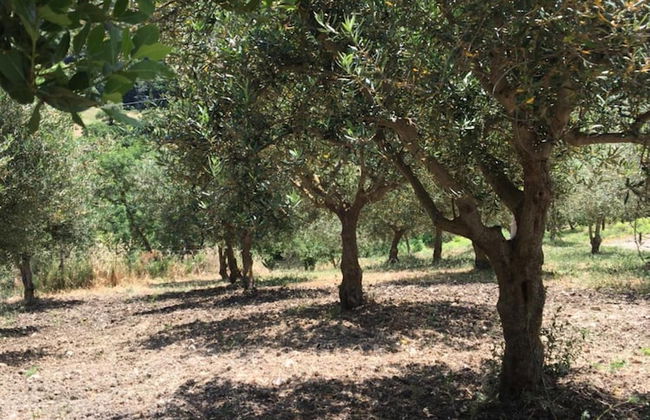 Villa Misita - Foto 37