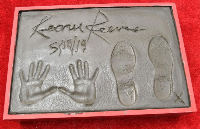 Gorgeous Studio in Beverly Boulevard! Sleeps 4! - Photo 22