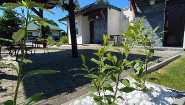 Zielone Zacisze - Foto 4