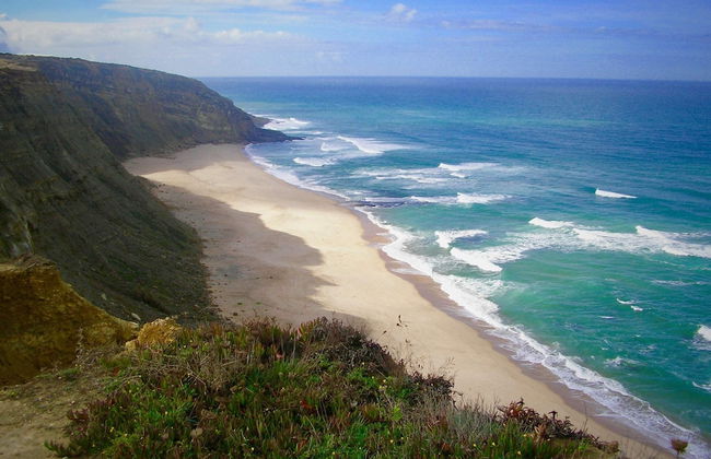 João Jungle - Foto 79