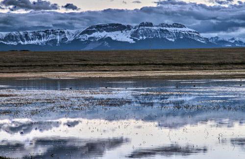 Updated Townhouse with Pergola, Walk to Downtown! - Foto 30