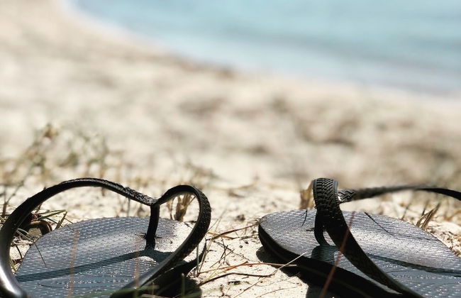 Beach Holiday Apartments - Foto 21