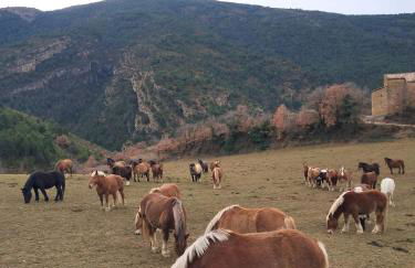 Cal Foraster - Foto 58