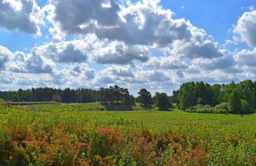 Ferienhaus am Garder See Inselblick - Foto 38