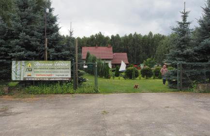 Brzozowe Zacisze - Foto 3