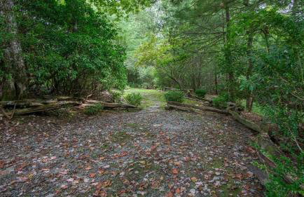 Sarah`s Cabin · Sarah`s Cabin in Pisgah Forest - Foto 14
