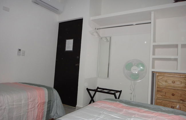 Tropical Paradise Apartment - Photo 6