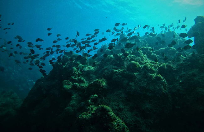 Snorkelling in Havana - Photo 5