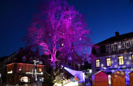 Le Gîte de l'Ecureuil - Foto 68
