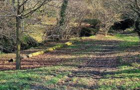 Wild Coastal Retreat at Troed Y Rhiw Aberporth, West Wales - Foto 51