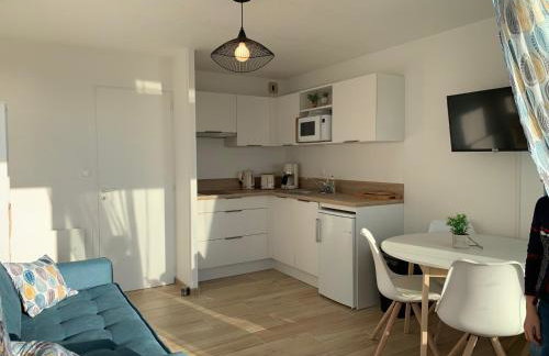 Carnac superbe appt 4 pers vue exceptionnelle sur la mer - Foto 8