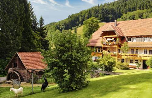 Hoferpeterhof - Foto 50