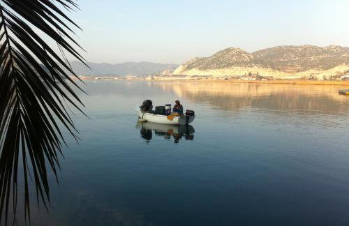 Apartments Damić - Photo 53