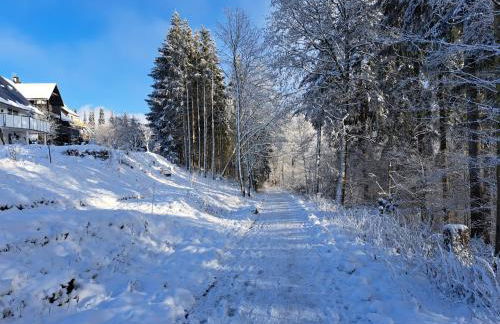 Garden apartment Winterberg WOODS - Foto 19