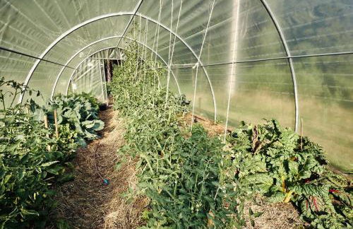 Blickinsfreie - Photo 75