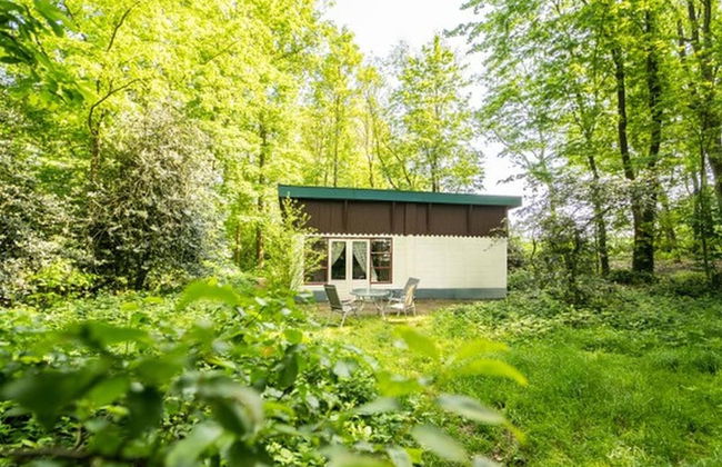 Beautiful Mansion on the Water - Foto 19