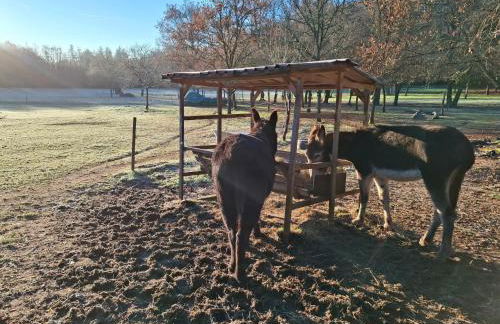 Domaine du Bois Noir - Foto 28