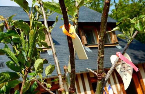 Maison proche Pont l'Eveque Deauville Honfleur - Foto 23