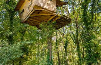 Dihan Evasion - Foto 20