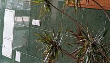 As Chaves do Cantinho da Paz - Foto 5