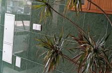 As Chaves do Cantinho da Paz - Foto 5