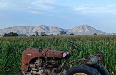 Can Pujol - Casitas de Turismo Rural en el Baix Empordà - Foto 30