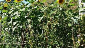 Ferienwohnung Am Elzbach - Foto 4