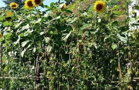 Ferienwohnung Am Elzbach - Foto 4