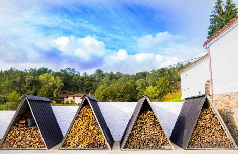 Pena De Roca - Foto 59