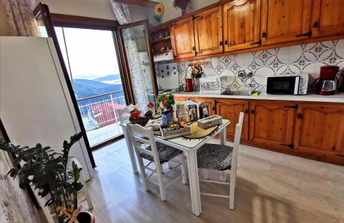 Delphic Horizons - Foto 35