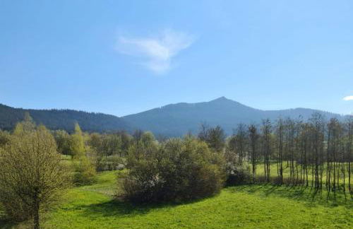 Ferienwohnung HOAMAT Schmalzreich Andrea - Foto 38