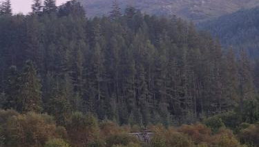 Twin Deer Lodge - Foto 2