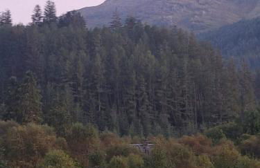 Twin Deer Lodge - Foto 2