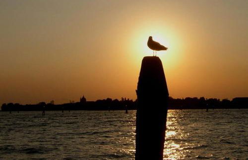 Apartment Essence of Venice - Photo 21