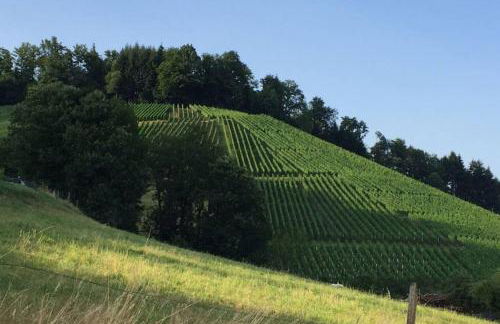 Ferienwohnung Höhner - Foto 10