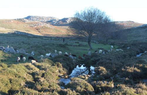 A Avozinha - Arouca - Foto 52