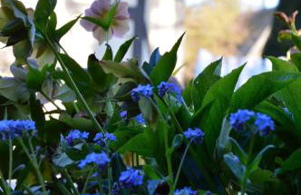 L'Orée des Prés - Gîte familial - 4 étoiles - 8 personnes - Foto 7