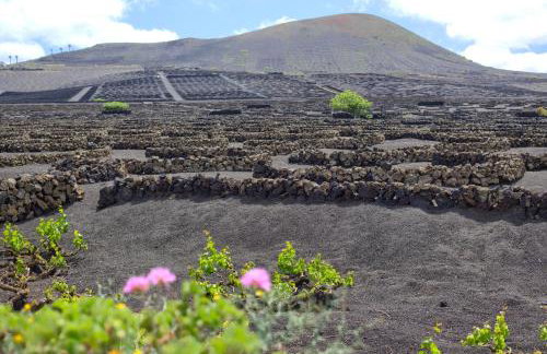 Tea-Rose Loft - Foto 17