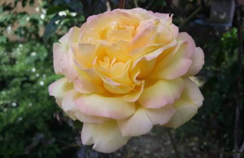 Villa 3 étoiles près des plages, Parking, Wifi, Clim - Foto 24