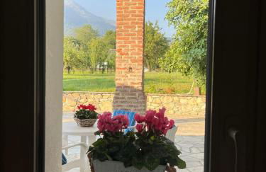 Casa in campagna - Photo 21