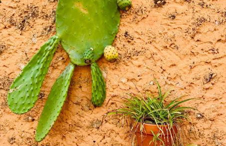 Apartamento Valencia - Foto 30