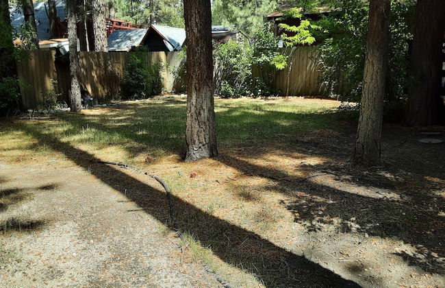 Bearadise - Photo 18