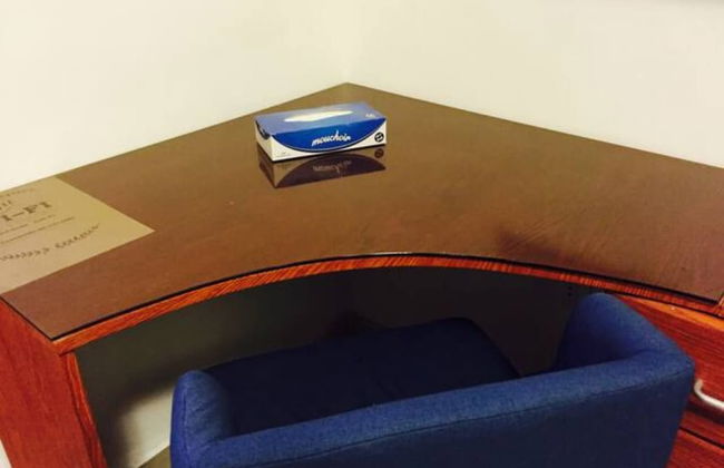 The Royal Luxury Tiger Patio - Foto 19