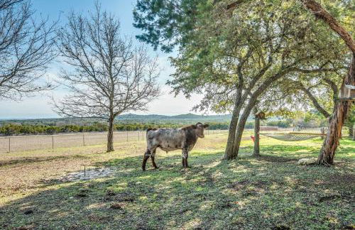 Beautiful Hill Country Ranch Home - 4 Mi to Town! - Foto 23