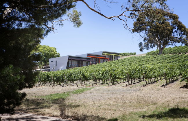 Longview Vineyard - Foto 9