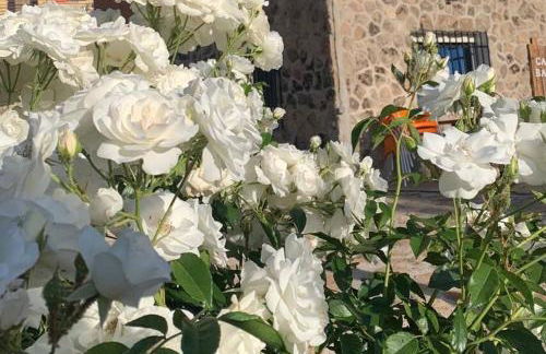 Casa Balta - Foto 35