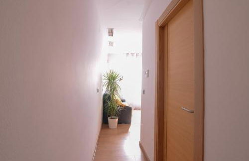 Apartamentos San Pedro - Foto 4