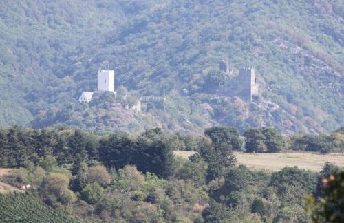 Ferienwohnungen Arnold - Foto 25